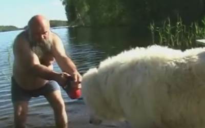 VIDEO: This Guy Makes A Big Mistake By Trying To Give His Huge Dog A Bath. The Results? Hilarious!