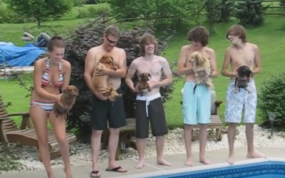 It’s The End Of Summer Dachshund Pool Race! But The End Has An Unexpected Twist!