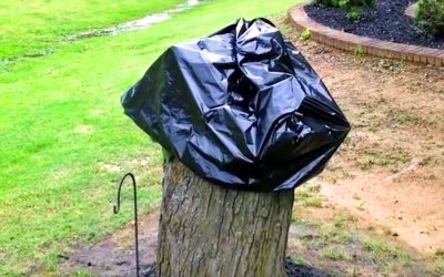 He Kept a Stump On Their Lawn. 14 Days Later His Wife Removes The Bag and Reveals THIS