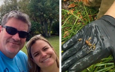 This Man Was Gardening In His Backyard 60 Minutes Later He Died. The Reason Is Scary!