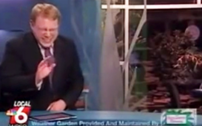 Local News Man Completely Loses It When He Tries To Pronounce THIS Pig’s Name On Live TV.