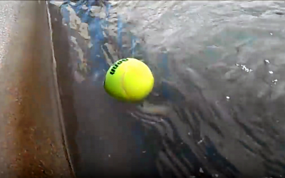 This Guy Drops A Tennis Ball Inside His Pool At Night. When He Removes It In The Morning Brilliant!