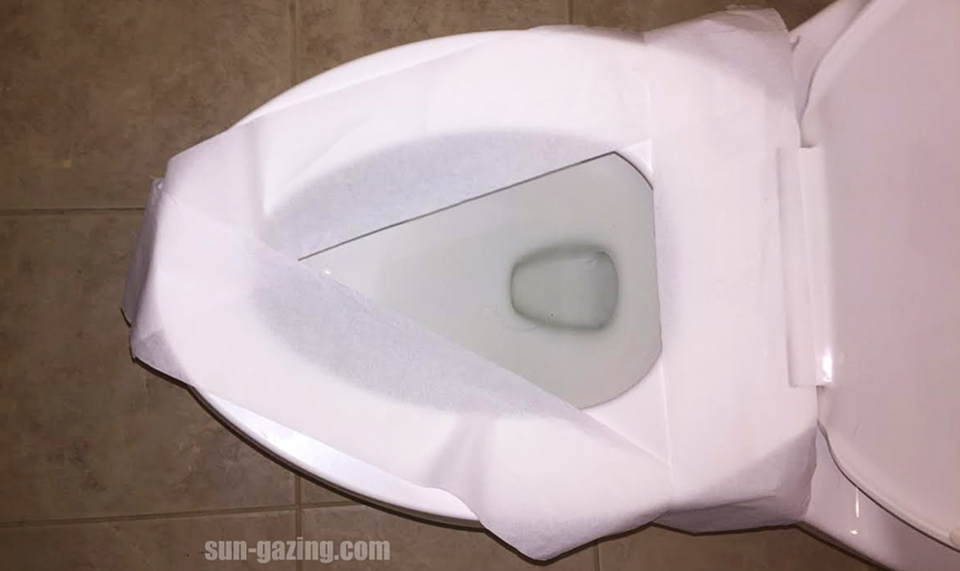 The Reason Why You Shouldn't Cover The Toilet Seat With Toilet Paper In ...