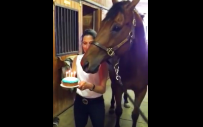 She Sings Happy Birthday To The Horse, But When The Candles Blow Out He Makes The Funniest Face Ever