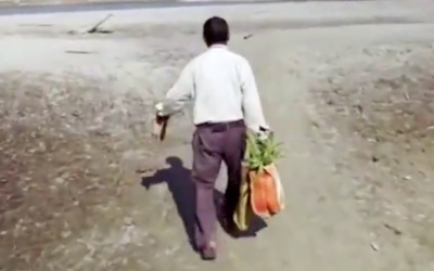 Guy Planted Trees In The Same Place For Over 35 Years. Now Watch The UNTHINKABLE Transformation