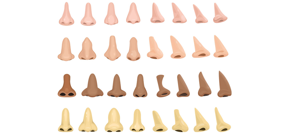 14 different nose shapes