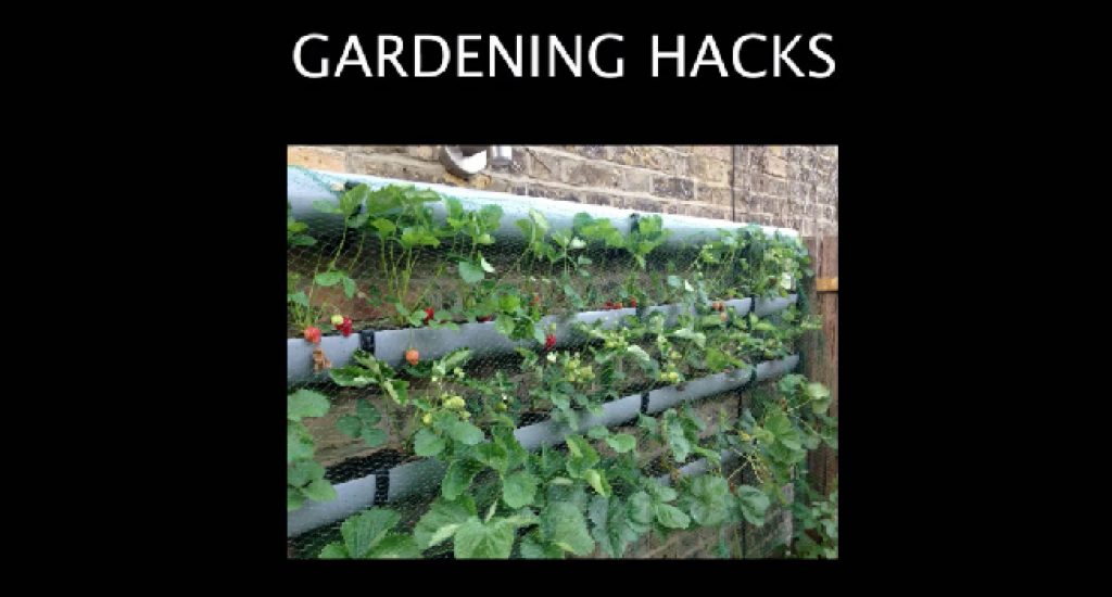 10 Gardening Life Hacks Everyone Should Know.