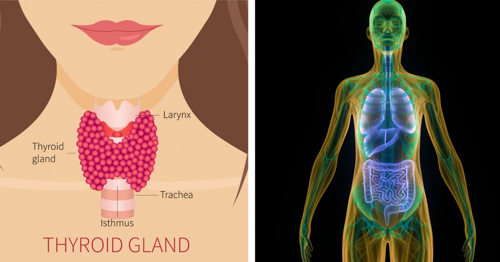 13-signs-and-symptoms-you-have-a-thyroid-condition-and-may-not-even