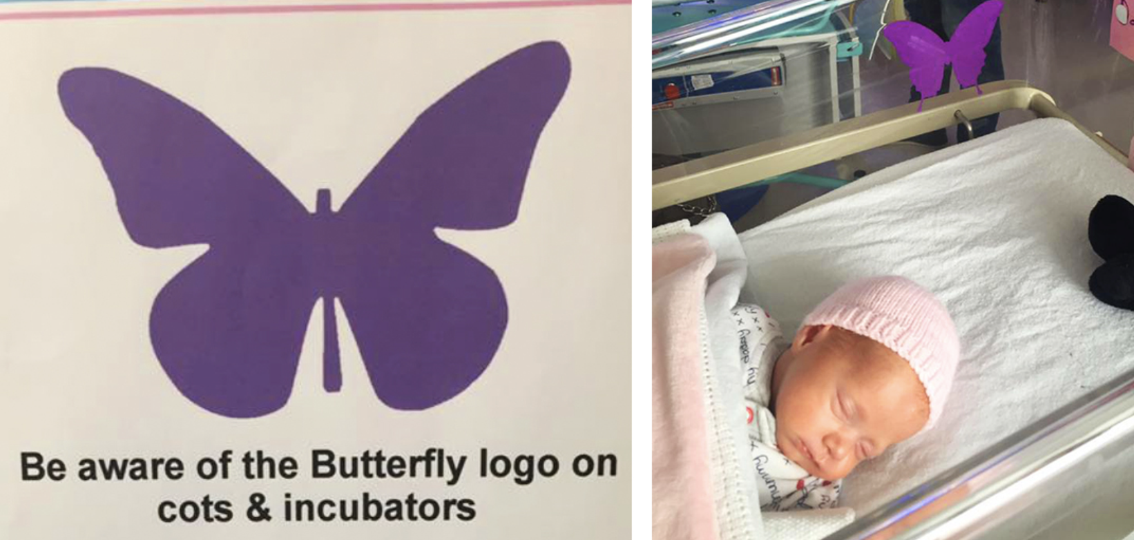 What Does Butterfly Mean In Hospital