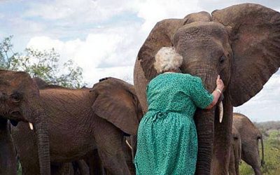 Video: These Elephants Always Gather To Hug This Woman. The Reason Tore My Heart Up!