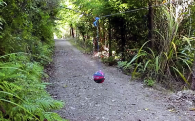 They Set Up A Hidden Camera To Capture What Goes On When You Place A Tetherball In The Woods