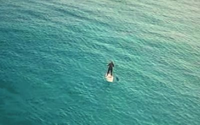 At First I Thought He Was Paddle Boarding In The Water Alone. But When The Camera Zooms Out OMG!