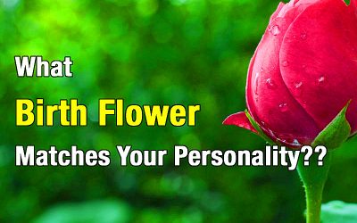 What Birth Flower Matches Your Personality?