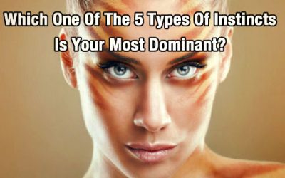 Which One Of The 5 Types Of Instincts Is Your Most Dominant?