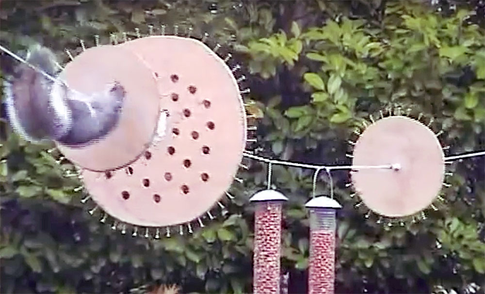 squirrel bird food catapult
