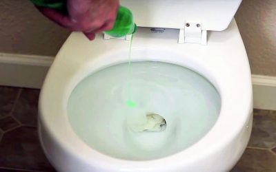 I Thought It Was Strange When He Poured Dish Soap In The Toilet. But The Reason Is Brilliant!