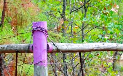 Have You Ever Noticed A Fence Painted Purple? It Means THIS..