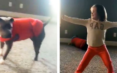 This Pit Bull Notices This Girl Do A Cartwheel. Then He Does The Unthinkable! I’m Speechless!