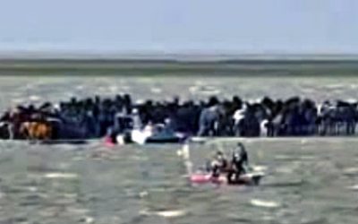 100 Horses Were Trapped On A Flooded Island. Now Watch These Few People Attempt THIS Rescue!