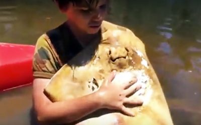 This Boy Picks Up A Huge Strange Looking Stingray But Seconds Later The Unthinkable Occurs!