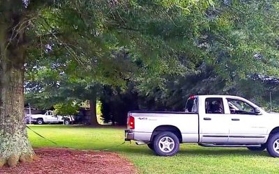 This Man Attempts To Pull A Tree Out Of The Ground With His Truck. At :24 I Can’t Stop Laughing!