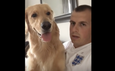 He Tells His Pup He Is Getting a New Baby Brother. The Dog’s Reaction Is Priceless!