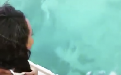 She Drops Her Cell Phone In The Water. Seconds Later She Gets The Surprise Of A Lifetime