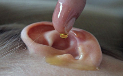 She Places White Vinegar and Alcohol Inside Her Ear For 60 Seconds a Day. The Reason Is Brilliant!