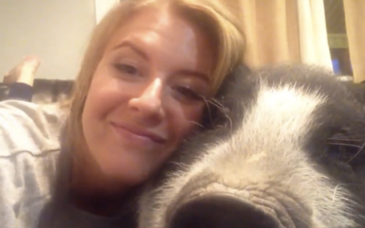 She Tries To Naturally Communicate and Cuddle With This Grumpy Pig. His Response Is HILARIOUS!