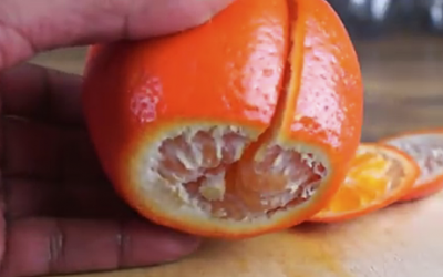 He Cuts The Ends Off This Orange Next He Slices One Large Cut Down The Middle. The Reason Is Genius!