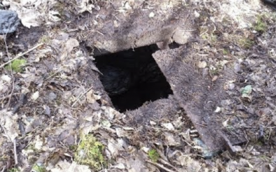 He Was In The Woods When He Noticed A Strange Door On The Ground. When He Saw What Was Inside WOW!