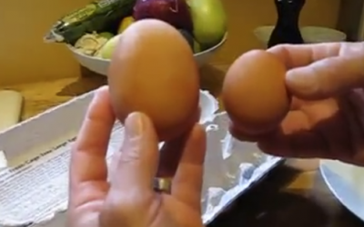 He Finds An Unusually Large Egg In The Carton. When He Cracks It He Never Expected This To Come Out!