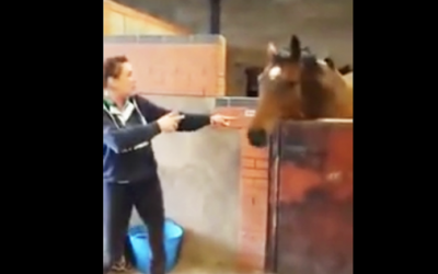 Nobody Believed Her When She Said What Her Horse Does When His Song Comes On. So She Caught THIS