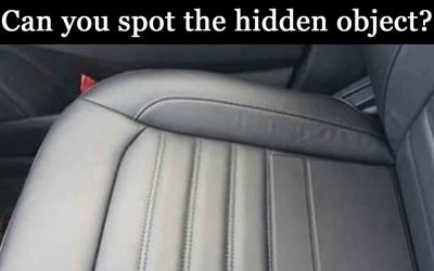 Can You Spot The Hidden Object In This Picture? Most People Can’t.