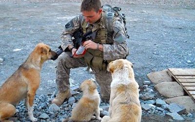 Soldier Became Best Friends With 3 Strays But After A Bomb Went Off No One Expected THIS! I Have Chills!