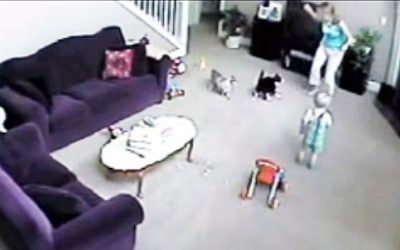 Hidden Security Camera Caught This Cat Rescuing A Little Child From The Babysitter!