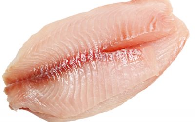 If You Still Eat Tilapia You Need To Stop Right NOW! The Reason Is Absolutely Disgusting!