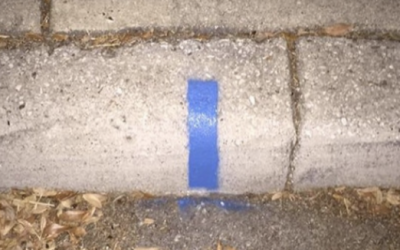 If You Spot a Thin Blue Line Painted On The Curb In Front Of Your House. It Means THIS..