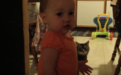 Nobody Believed Dad When He Described His Daughters Morning Ritual With The Cat. So He Caught THIS