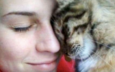 Does Your Cat Do The Head Bump All The Time? THIS Is The Strange and Surprising Reason Why.