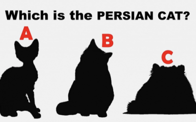 Only 1 In 15 Real Cat Lovers Can Recognize All Of These Cat Breeds. Can You?