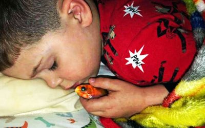 4-Year-Old Is Scared Of The Dark So He Cuddles With His Goldfish. But Then He Wakes To a Terrifying Surprise!