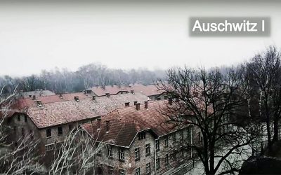 This Man Flies A Drone Over Auschwitz. What The Camera Caught Gave Me Chills..