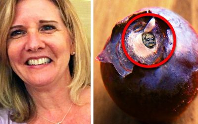 She Notices a Strange Thing Inside Her Blueberry. She Looks Closer Is Stunned and Disgusted!