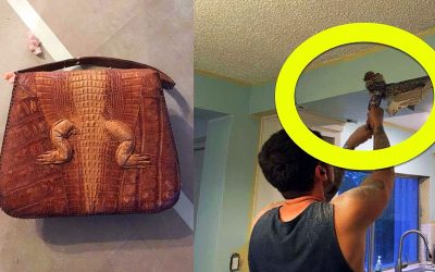 He Was Tearing Down and Redoing His Kitchen Ceiling. Then He Found THIS Strange Hidden Purse!