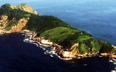 THIS Strange and Terrifying Island Is So Full Of Deadly Predators That Almost Every Human Who Arrives Doesn’t Make It Out Alive!