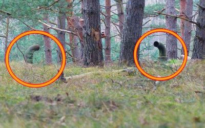 Guys Spot Strange Pipes In The Woods But They Didn’t Expect To Find THIS Hidden Door Leading Underground!