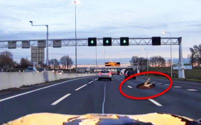 School Bus Driver Notices a Strange Thing On The Street. But He Immediately Gets Out and Sprints Towards It!