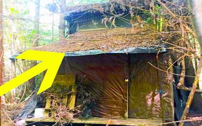 Forest Ranger Accidentally Finds a Mysterious Hidden Cabin In The Forest But There Is An UNTHINKABLE Surprise Inside!