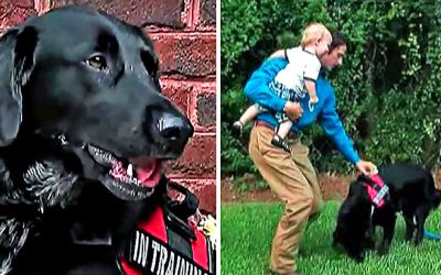 Dad Didn’t Know His Child’s Babysitter Was a Monster! But Then The Family Dog Began Doing The Strangest Thing!